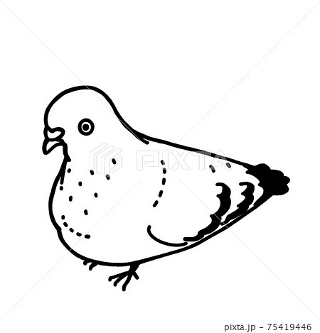 ぼんやりとしている佇む鳩さんのイラスト素材