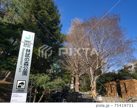 林試の森公園　東京都 75419731