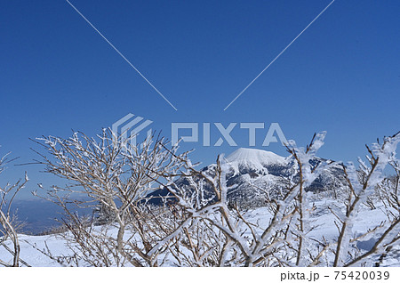 冬 凍り付くダケカンバと岩手山の後ろ姿の写真素材