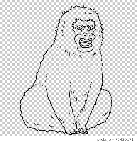 憤怒的猴子的線條藝術插圖 憤怒的猴子的線條藝術插圖 75420171
