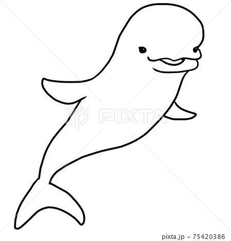 シンプルなベルーガの線画イラストのイラスト素材