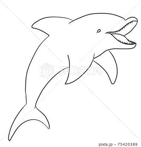 Simple Dolphin Line Art Illustration Stock Illustration 7543