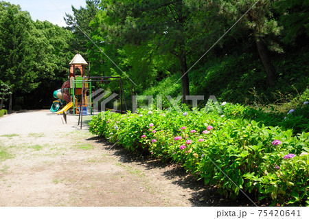 上野台公園 75420641