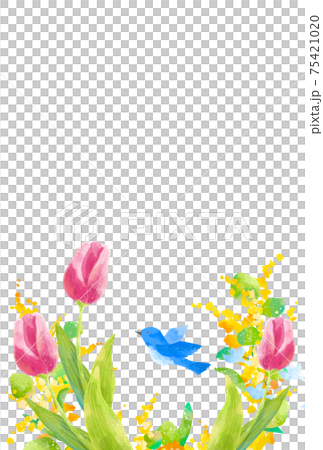 Frame of blue birds, tulips and mimosas carrying happiness with a gentle touch Frame of blue birds, tulips and mimosas carrying happiness with a gentle touch 75421020