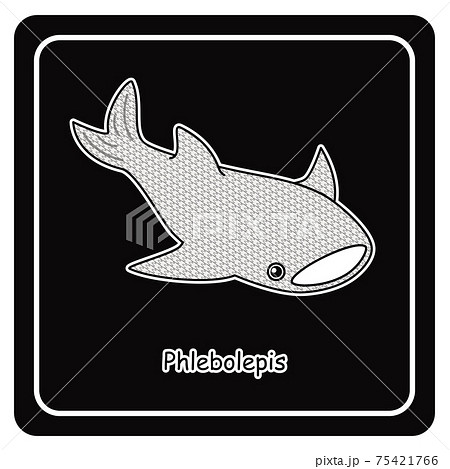 古代魚 フレボレピス Phlebolepis ジンベイザメに似た姿のアゴがない魚 イラスト ベクターのイラスト素材