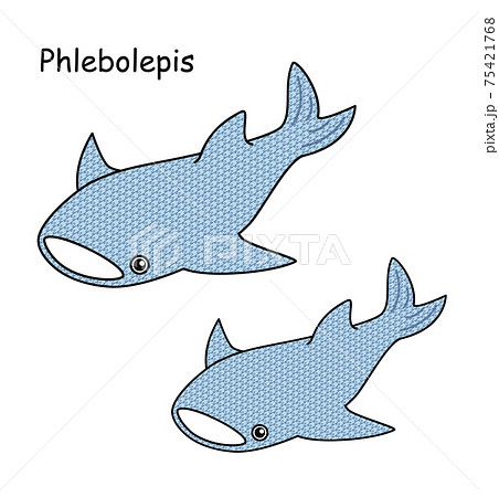 古代魚 フレボレピス Phlebolepis ジンベイザメに似た姿のアゴがない魚 イラストのイラスト素材
