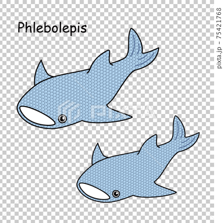 古代魚 フレボレピス Phlebolepis ジンベイザメに似た姿のアゴがない魚 イラストのイラスト素材