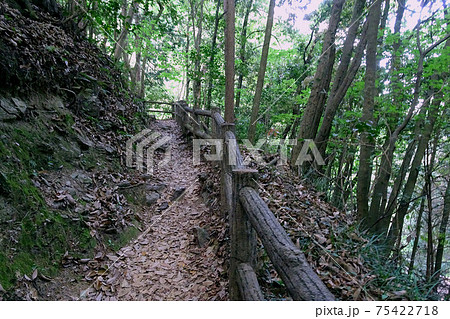 崖側にフェンスがある細い山道【黒山三】埼玉県毛呂山町の写真素材 [75422718] - PIXTA