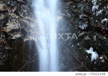 大寒の滝:源氏の滝:ツララ:交野八景 大寒の滝:源氏の滝:ツララ:交野八景 75423199