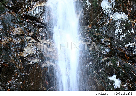 大寒の滝：源氏の滝：ツララ：交野八景 75423231
