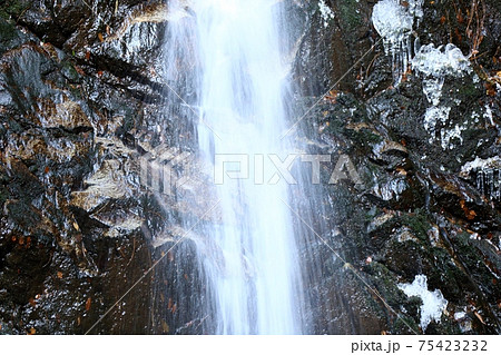 大寒の滝：源氏の滝：ツララ：交野八景 75423232