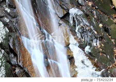 大寒の滝:源氏の滝:ツララ:交野八景 大寒の滝:源氏の滝:ツララ:交野八景 75423234