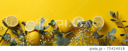 Eucalyptus branches, lemons and gypsophila on yellow background 75424018