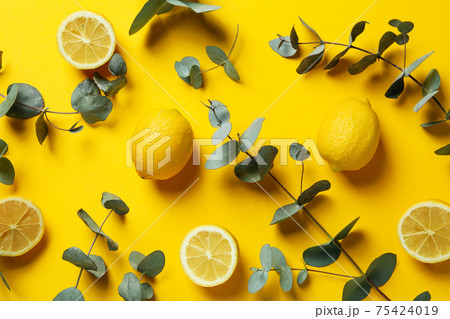 Beautiful eucalyptus branches and lemons on yellow background Beautiful eucalyptus branches and lemons on yellow background 75424019
