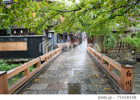 【京都府】9月・風情ある雨降る祇園白川 【京都府】9月・風情ある雨降る祇園白川 75428546