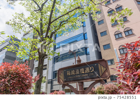 都市風景 箱崎湊橋通りの街路樹 東京都中央区 都市風景 箱崎湊橋通りの街路樹 東京都中央区 75428551