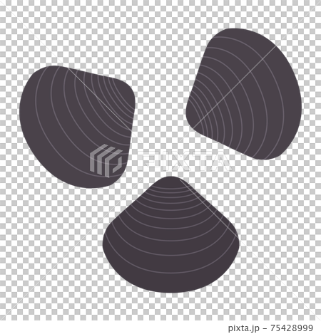Simple and cute illustration of freshwater clam flat 75428999
