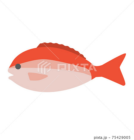シンプルでかわいい鯛のイラスト フラットのイラスト素材