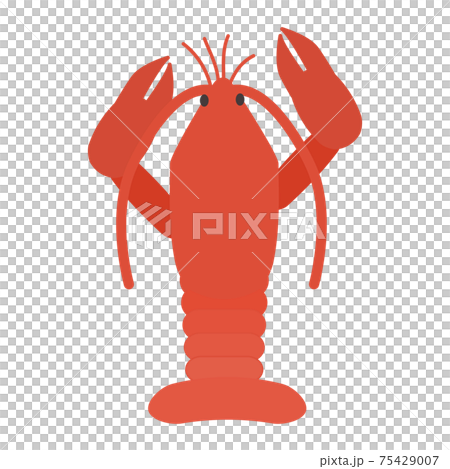 シンプルでかわいいロブスターのイラスト フラット 75429007