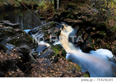 Amazing mountain waterfall landscape. Autumn forest and waterfall background. 75429285