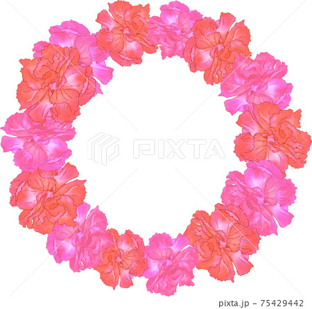 カーネーションのリース 75429442