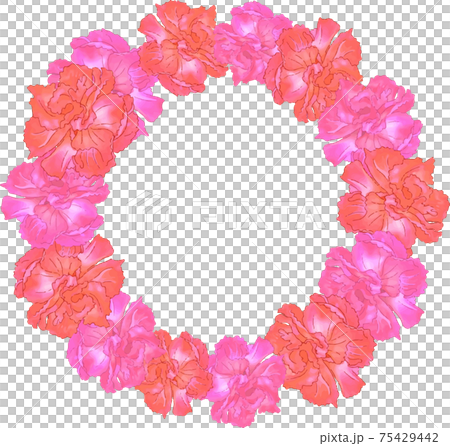 カーネーションのリース 75429442