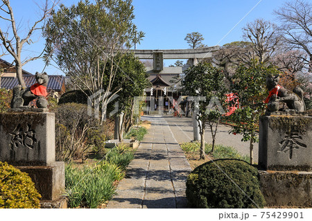 尾曳稲荷神社 尾曳稲荷神社 75429901