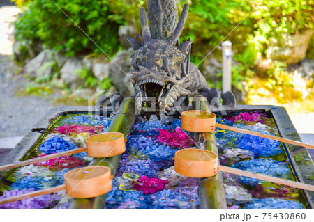 柳谷観音の花手水 75430860