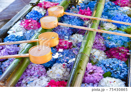 柳谷観音の花手水 75430865