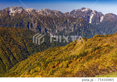 鹿島槍ヶ岳稜線から見る紅葉の山並みと剣・立山連峰 75430965