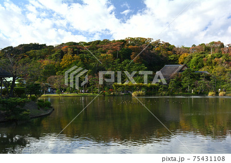 横浜・三渓園 75431108