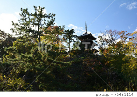 横浜・三渓園 75431114