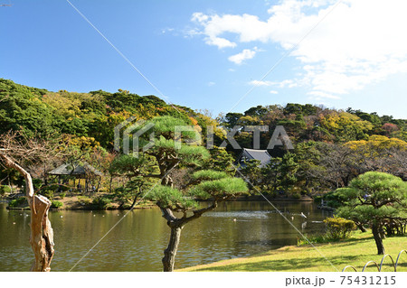 横浜・三渓園 75431215