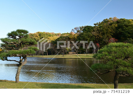横浜・三渓園 75431219