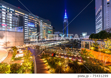 《東京都》新宿・都市夜景 75431299