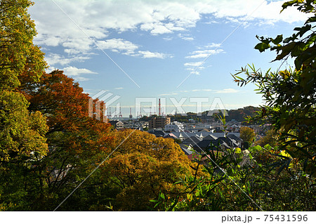 横浜・本牧山頂公園 75431596