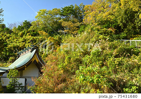 横浜・本牧神社 横浜・本牧神社 75431680
