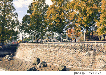 横浜・新本牧公園 横浜・新本牧公園 75431748