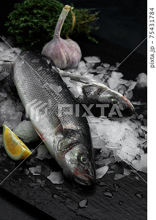 Raw fresh organic dorado or sea bream with lemon on ice cubes over black slate, stone or concrete background. Raw fresh organic dorado or sea bream with lemon on ice cubes over black slate, stone or concrete background. 75431784