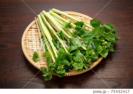 花わさび 75432417