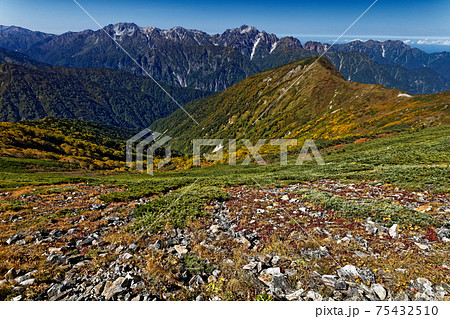 鹿島槍ヶ岳稜線の草紅葉と剣・立山連峰 75432510