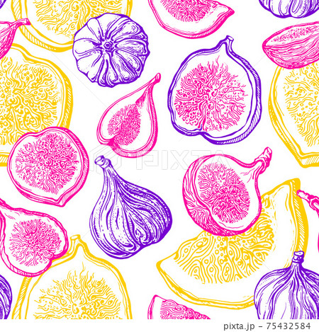 Fig seamless pattern. Vector fruit. Color print 75432584