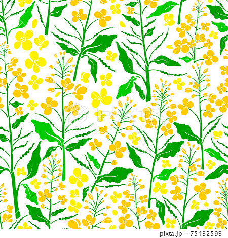 Vector floral seamless pattern. Summer field 75432593