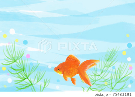 水中で金魚が泳いでいる夏イメージのイラストのイラスト素材
