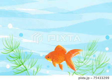 金魚が泳いでいる夏イメージの背景イラストのイラスト素材
