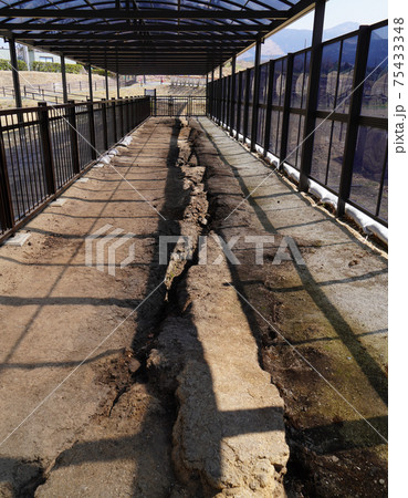 2016年4月の熊本地震の震災遺構として残された旧東海大学阿蘇校舎と地表地震断層 75433348