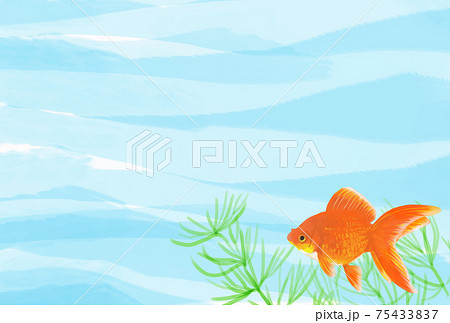 金魚が泳いでいる夏イメージの背景素材のイラストのイラスト素材