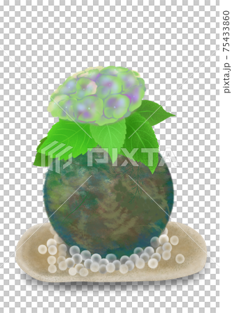 Cool decoration of glass balls on a green hydrangea moss ball / pottery plate 75433860