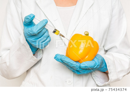 GMO scientist injecting liquid from syringe into yellow pepper 75434374