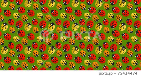 Colorful Flat Spring Or Summer Seamless Pattern Background With Ladybugs Textile Vector Illustration Art Colorful Flat Spring Or Summer Seamless Pattern Background With Ladybugs Textile Vector Illustration Art 75434474